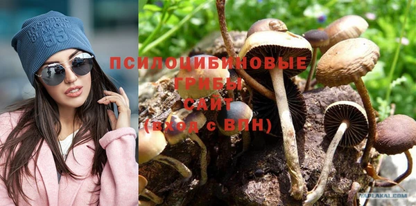 ешки Балахна