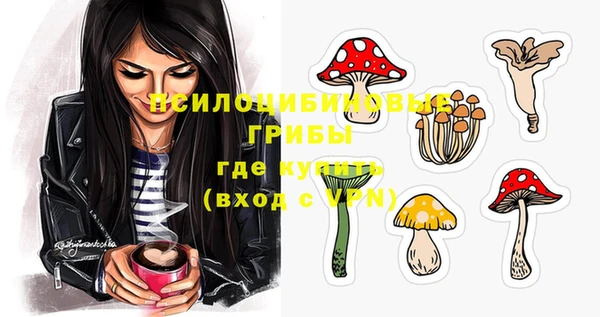 ешки Балахна