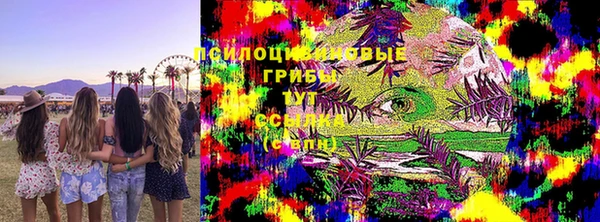 каннабис Баксан