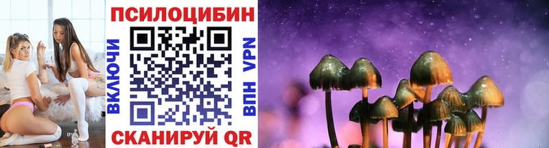 Галлюциногенные грибы Psilocybine cubensis  Ленск 